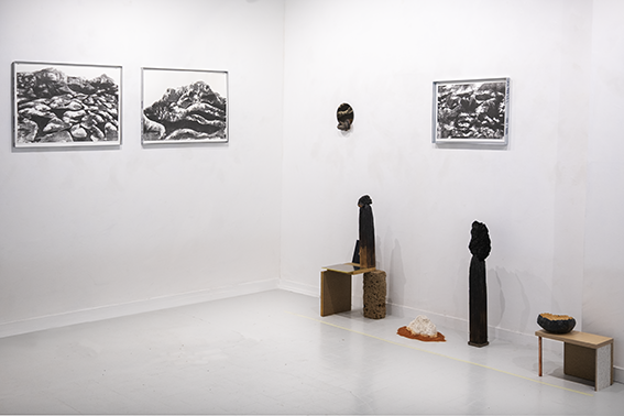 exposition monts et merveilles gravures et sculptures