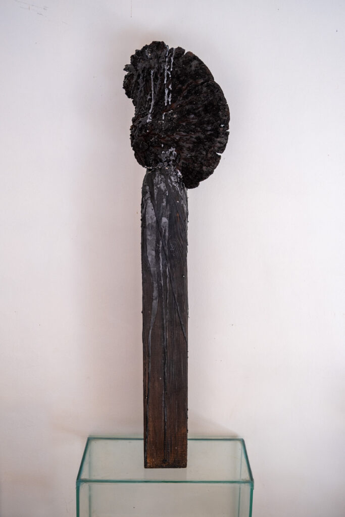 sculptures faience bois et champignon